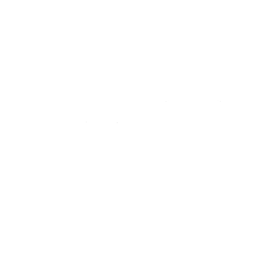 Party Icon